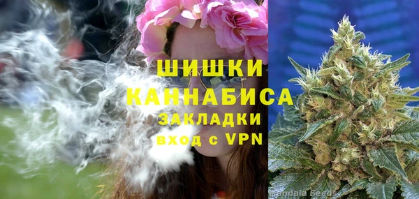 бошки Белокуриха