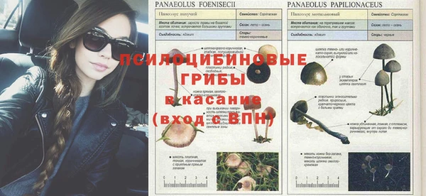 гашик Богородицк