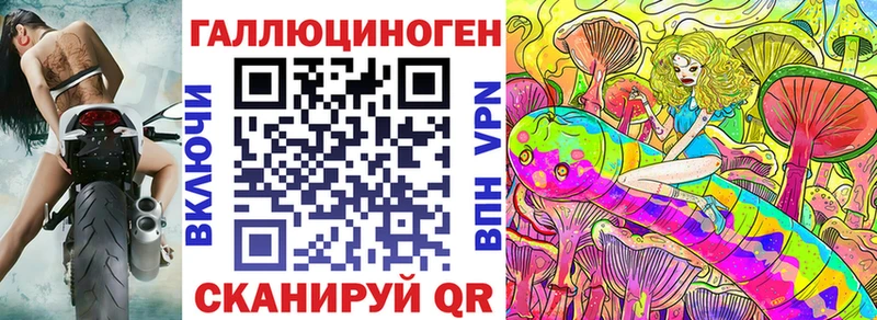 где найти наркотики  Невельск  Псилоцибиновые грибы Psilocybine cubensis 